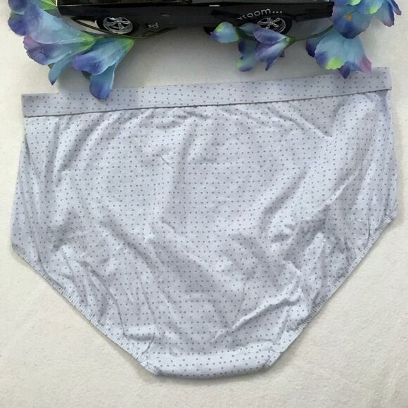Hanes NWOT 2 Pack Bundle Brief Panties Women 9/2XL - Picture 3 of 7